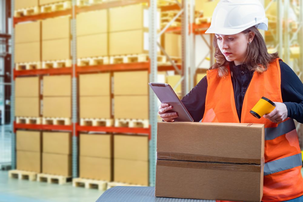 Customs Officer checking goods